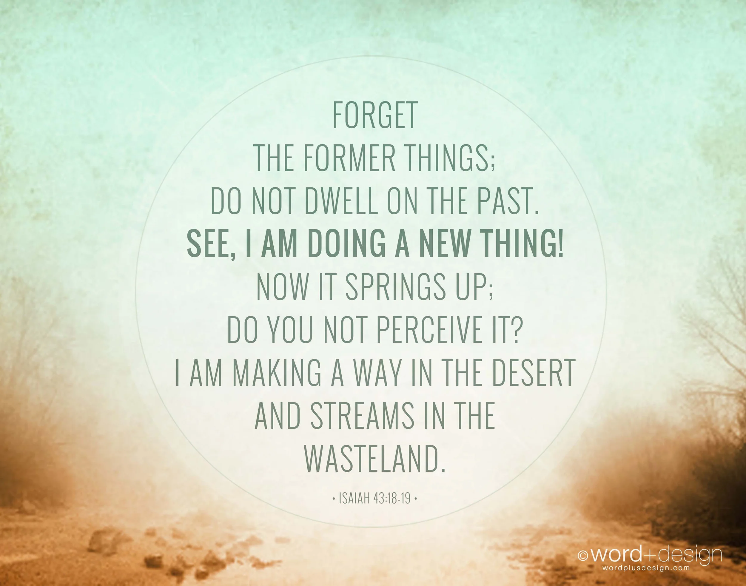 anewthing_10X8_wm.jpg