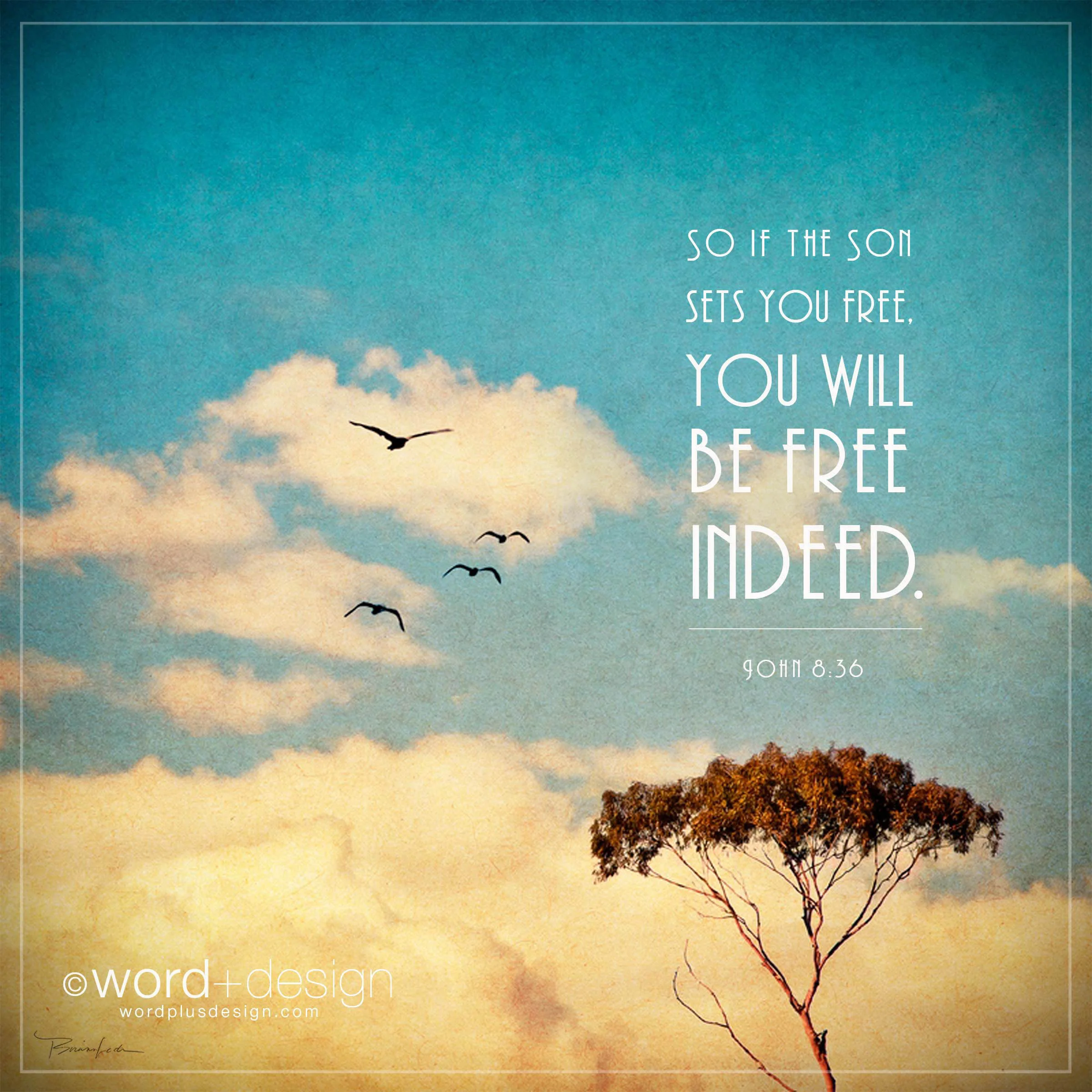 son sets you free_8x8_wm.jpg