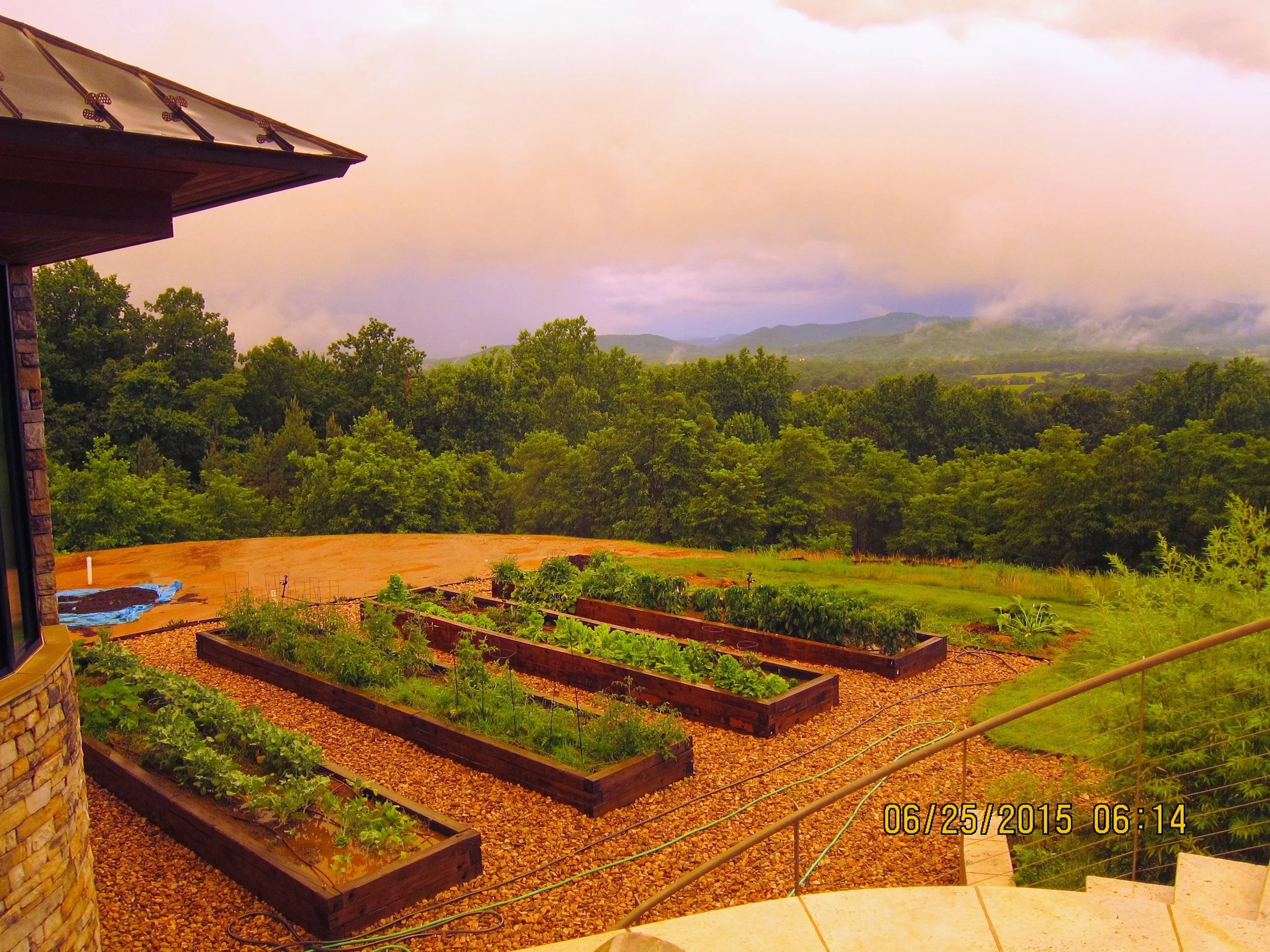 Herb raised beds.JPG