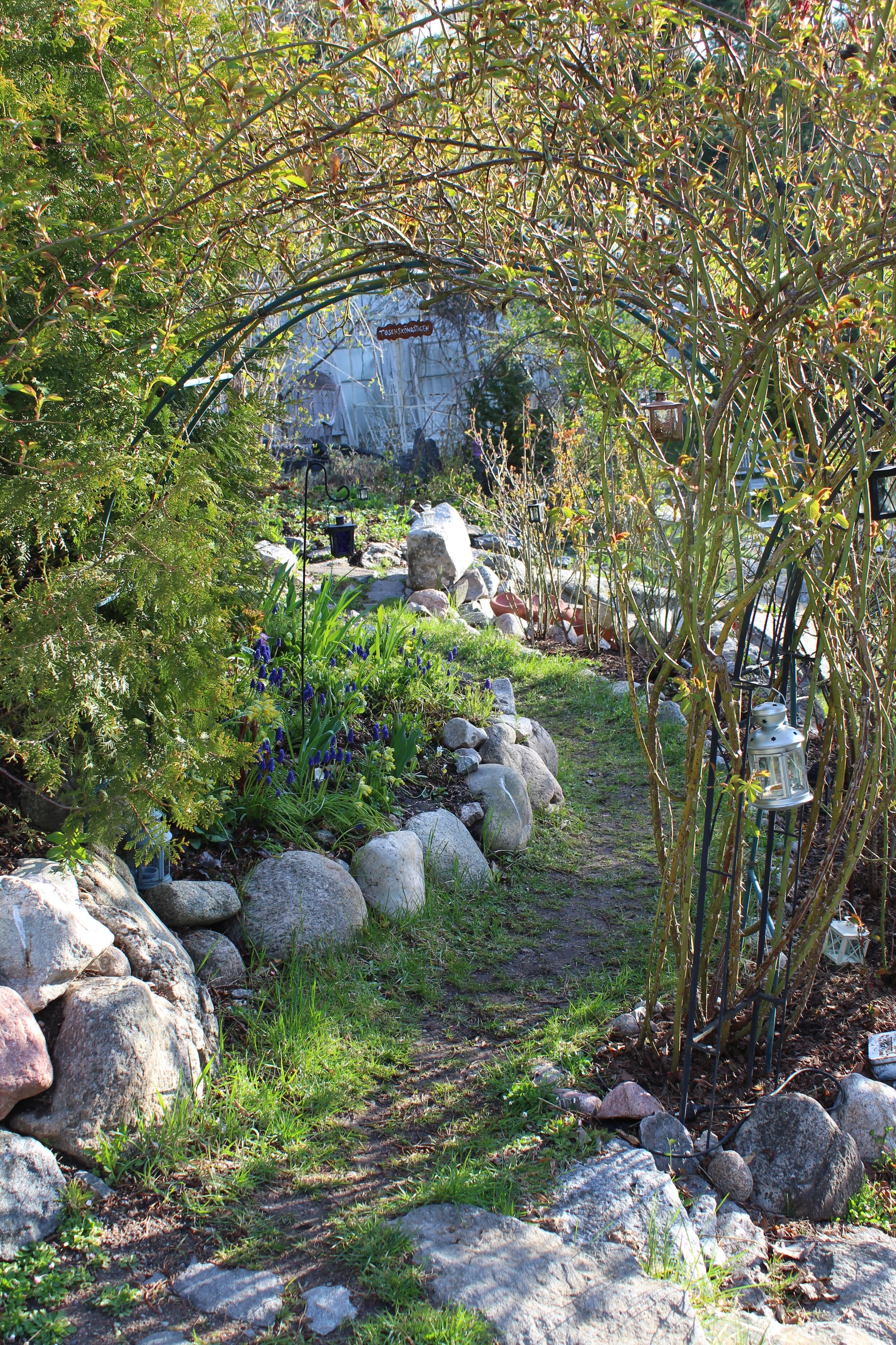 TRÄDGÅRD FÖR LÄKANDE