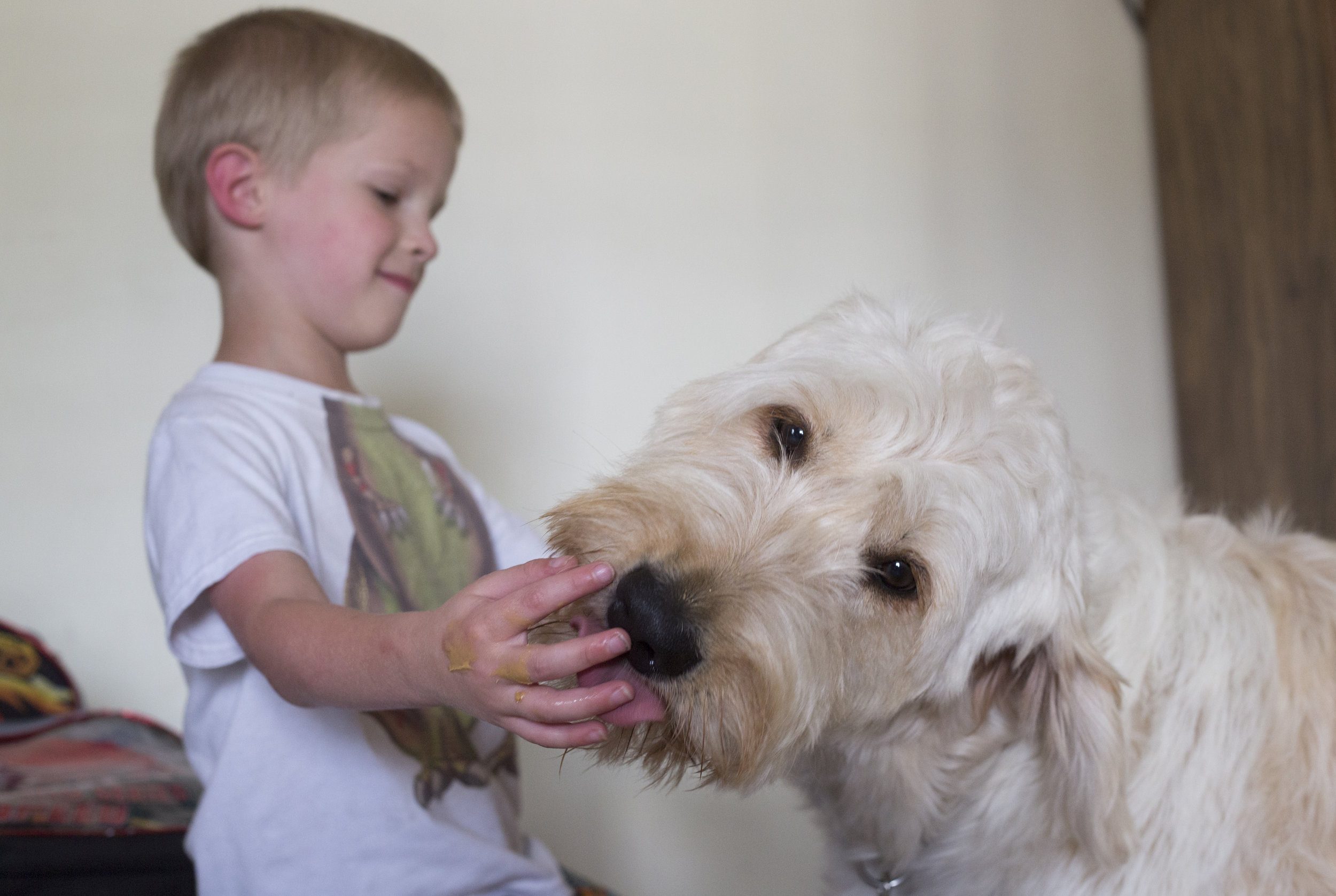  Spad licks peanut butter off of Josiah's hand as a bonding exercise to strengthen their relationship. Josiah likes it when Spad licks him and Spad likes to eat peanut putter, so they both enjoy it. 