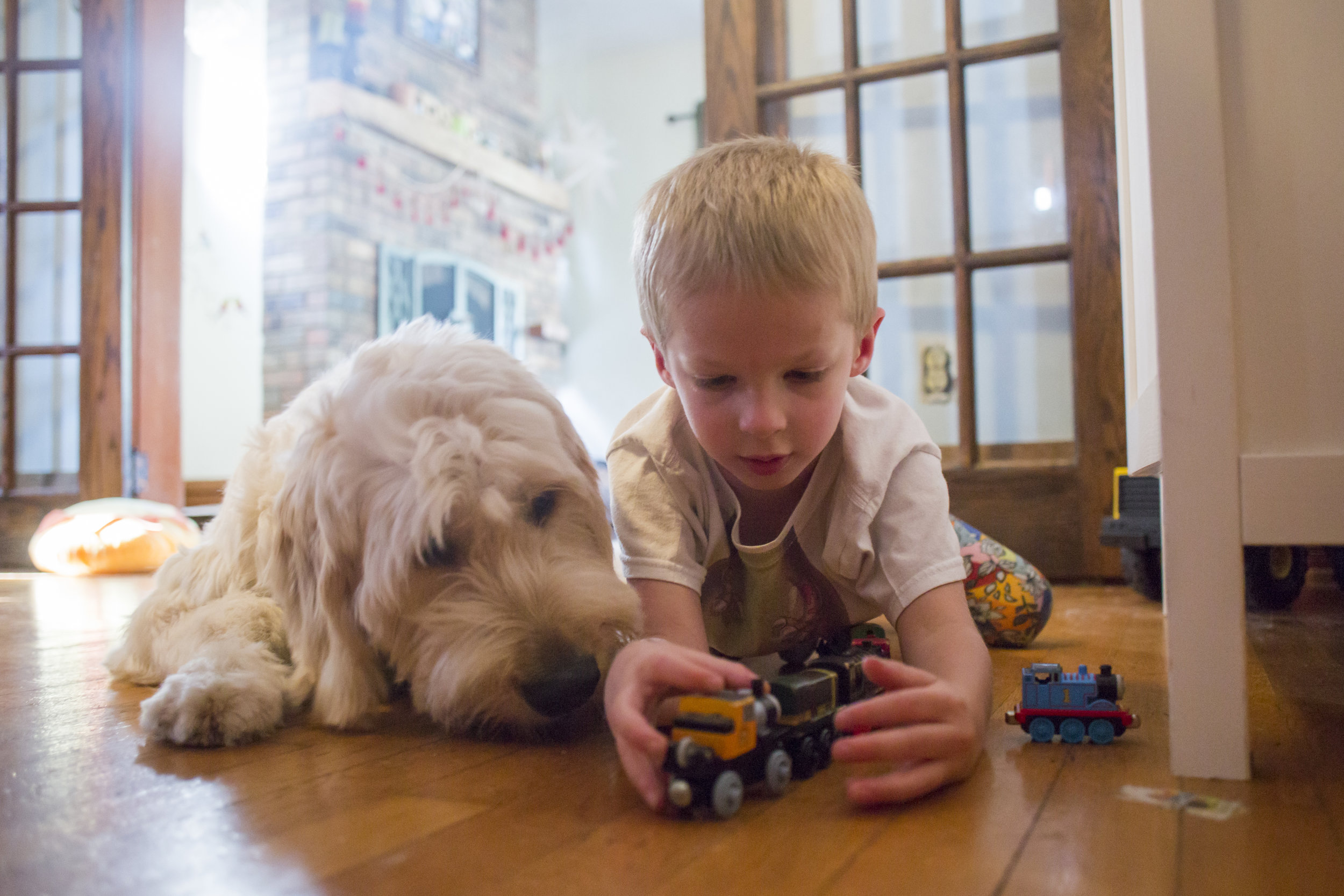  Spad and Josiah lay on the floor together while Josiah plays with his  toy trains. Josiah's mother said she's noticed that Josiah will be more affectionate towards Spad and interact with him more when he doesn't think anyone's watching. This include