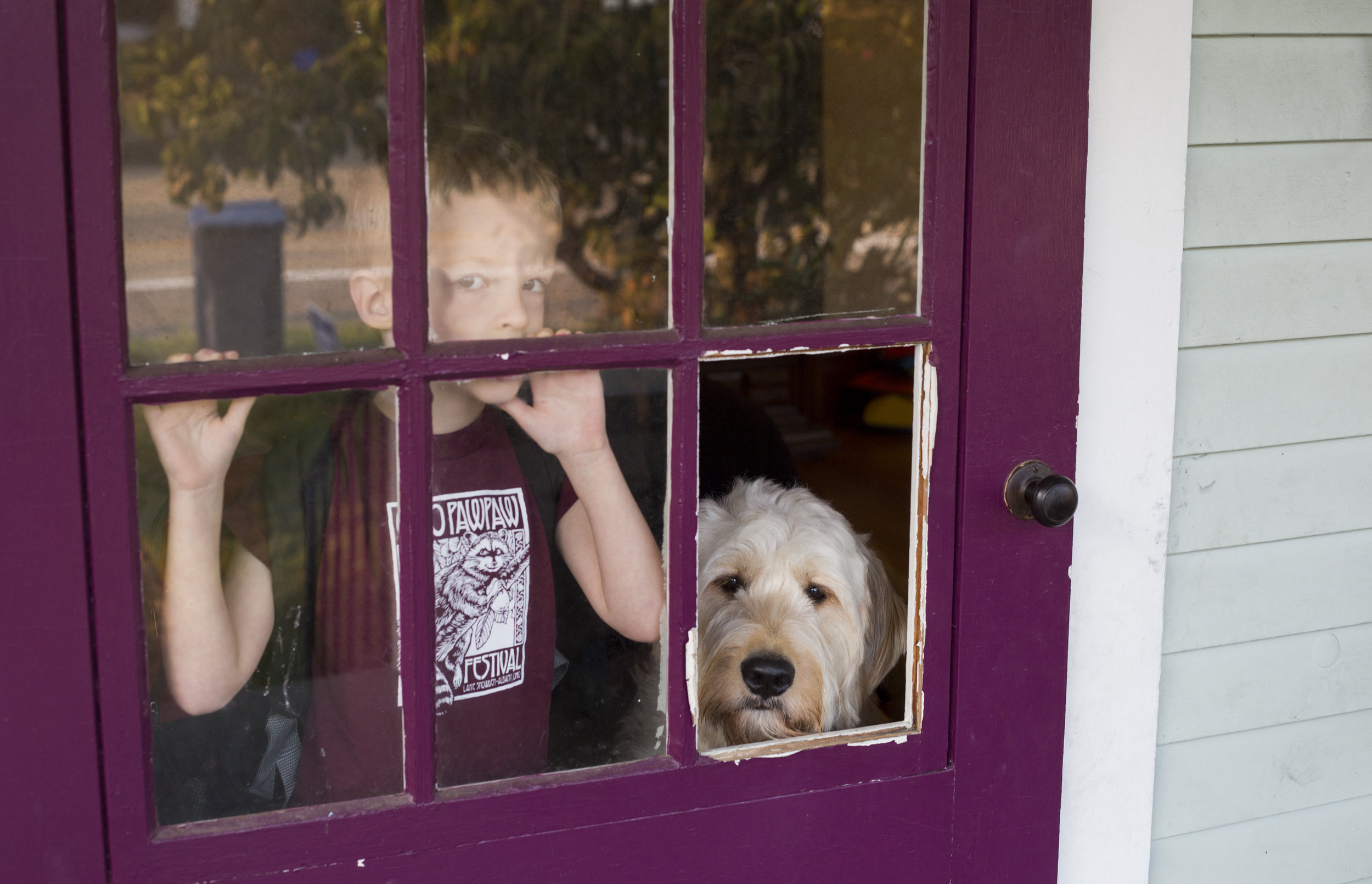  Josiah and Spad, Josiah’s service dog, look out the front door of their home on East State Street in Athens, Ohio before leaving for school on September 21, 2017. Josiah got Spad in May 2017 to help him manage challenges associated with autism spect
