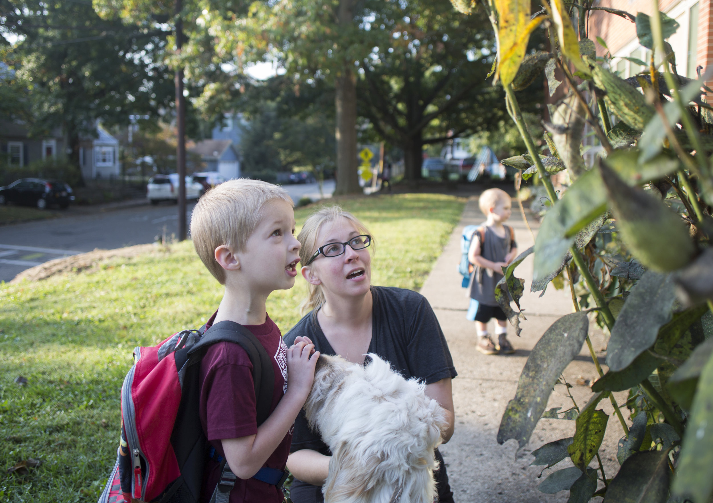  Josiah and his mom Rachel look for caterpillars on a bush in front of  East Elementary School in Athens, Ohio while Josiah touches Spad's snout and his brother Judah looks at the caterpillars separately. Rachel said Josiah has been more engaged with