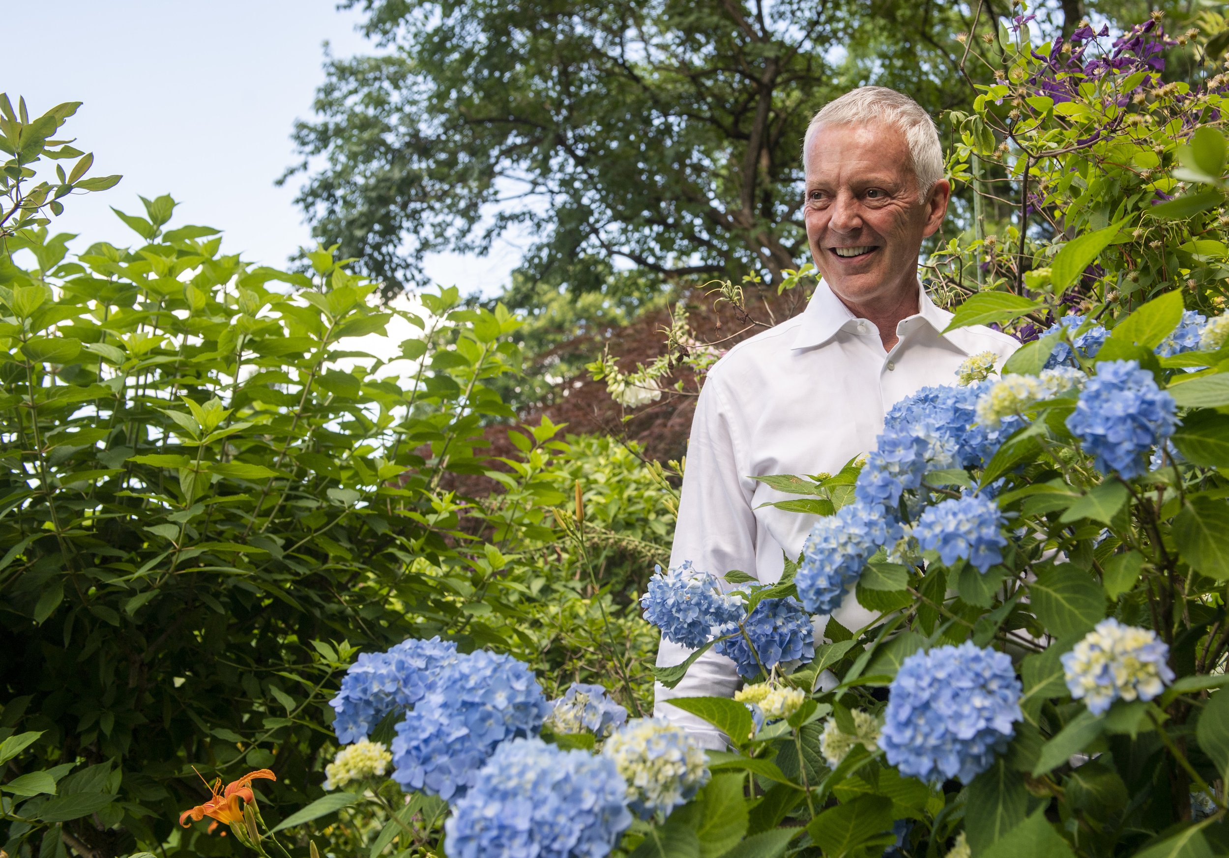  Mark Meaders stands for a photo near the blue hydrangea in his garden on Tuesday, June 15, 2021, in Pittsburgh’s Squirrel Hill. Meaders' garden was one of 12 that was featured in the Symphony Splendor Garden Tour on June 27. (Emily Matthews/Post-Gaz