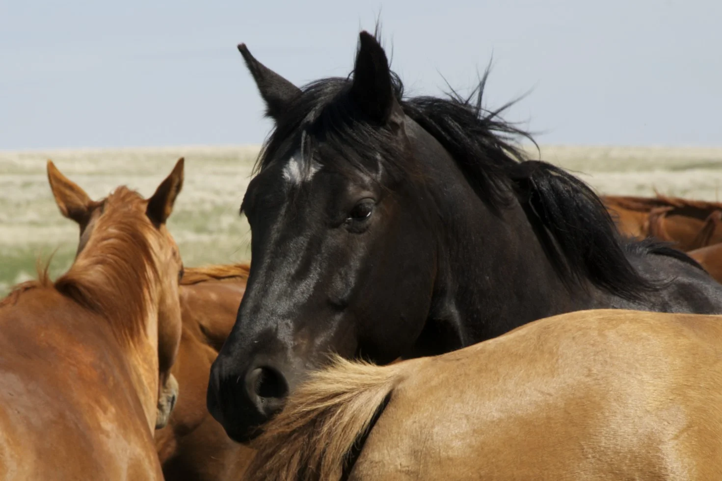 DSC_1123 - Version 2.jpg