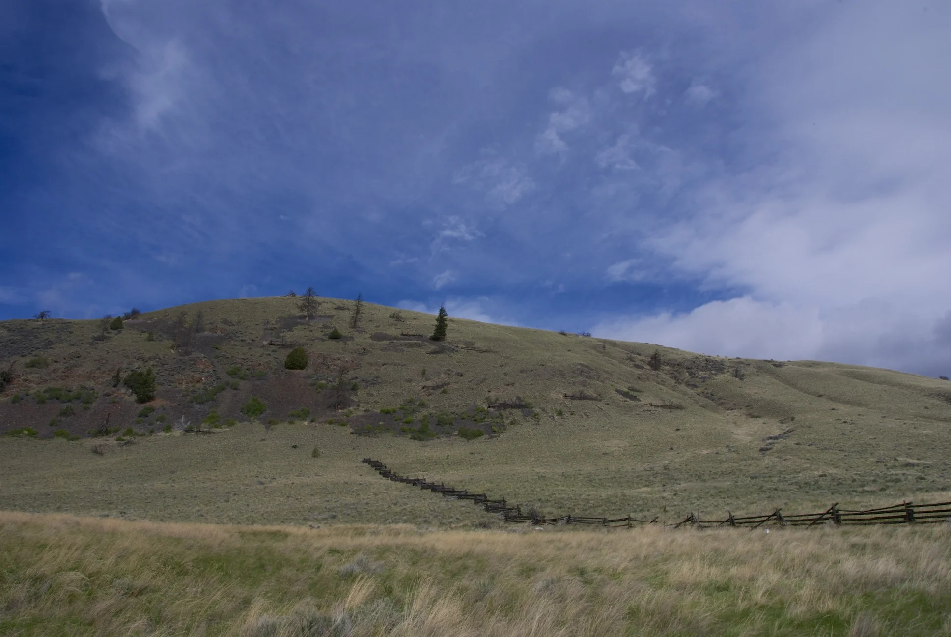 DSC_1718.jpg
