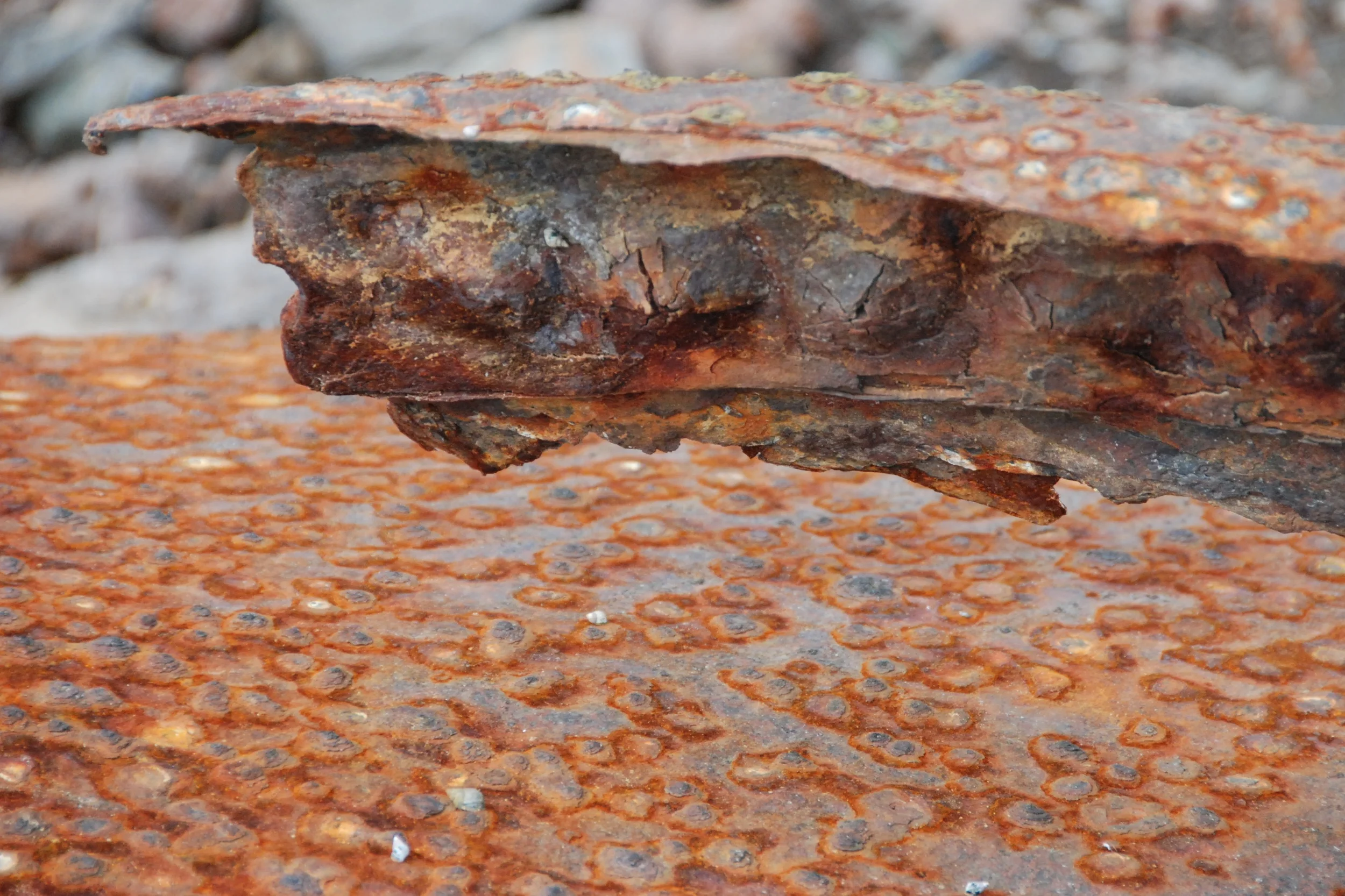 DSC_0196 - Version 2.jpg