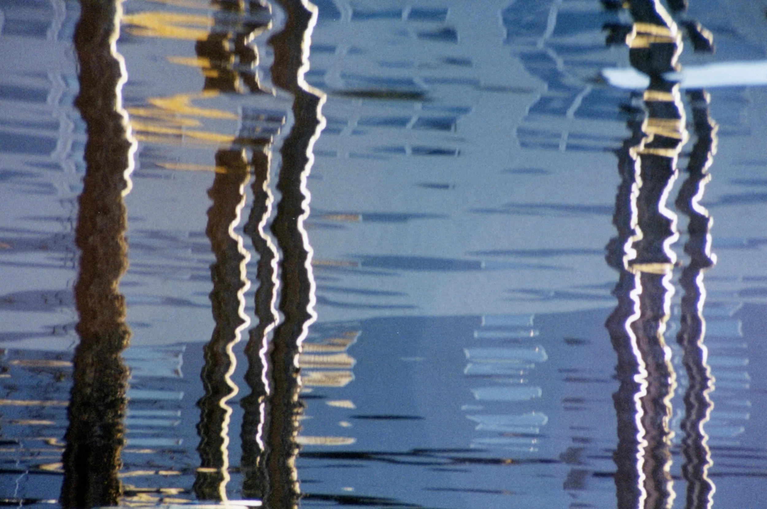 Pilings Reflecion.jpg