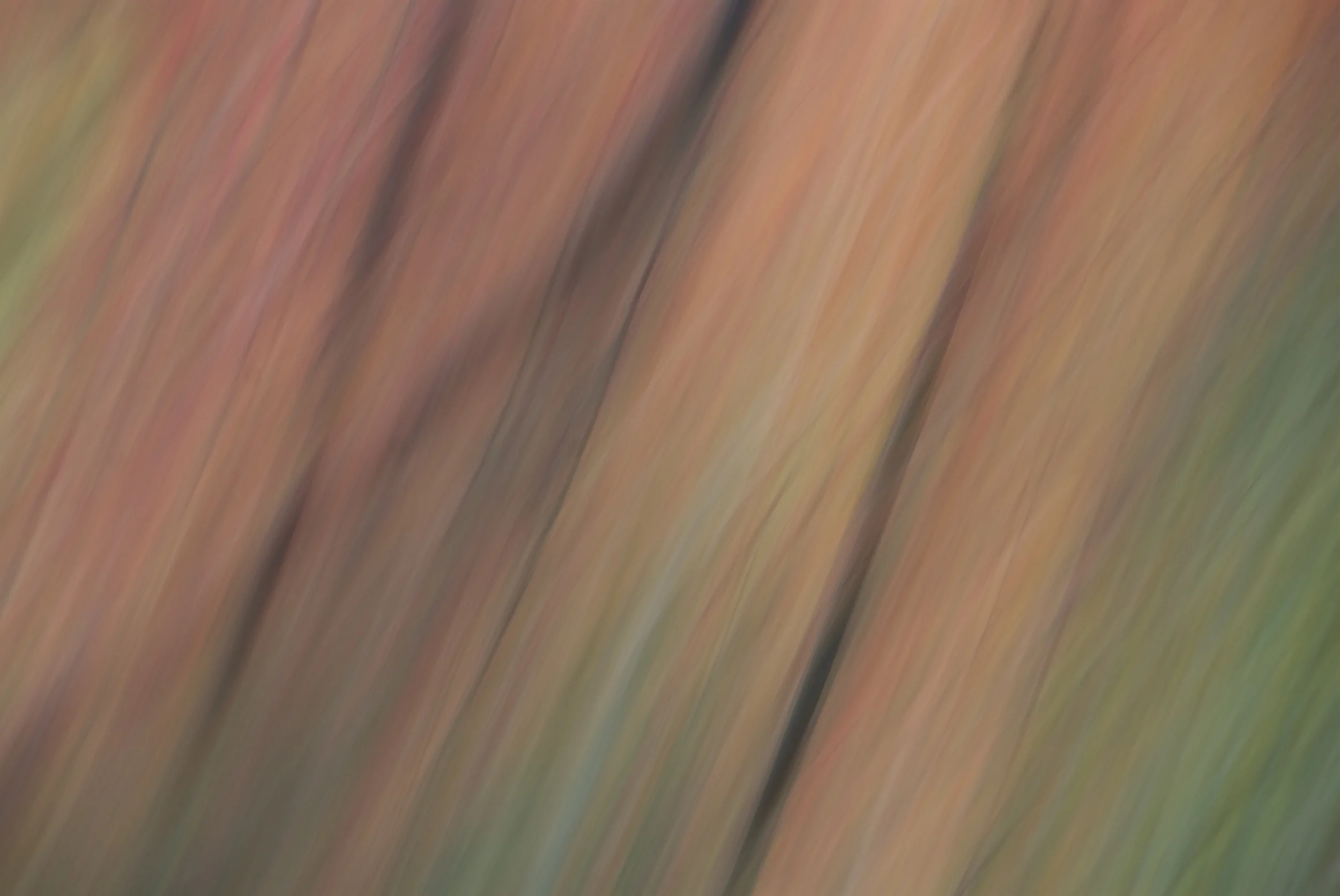DSC_2612.jpg