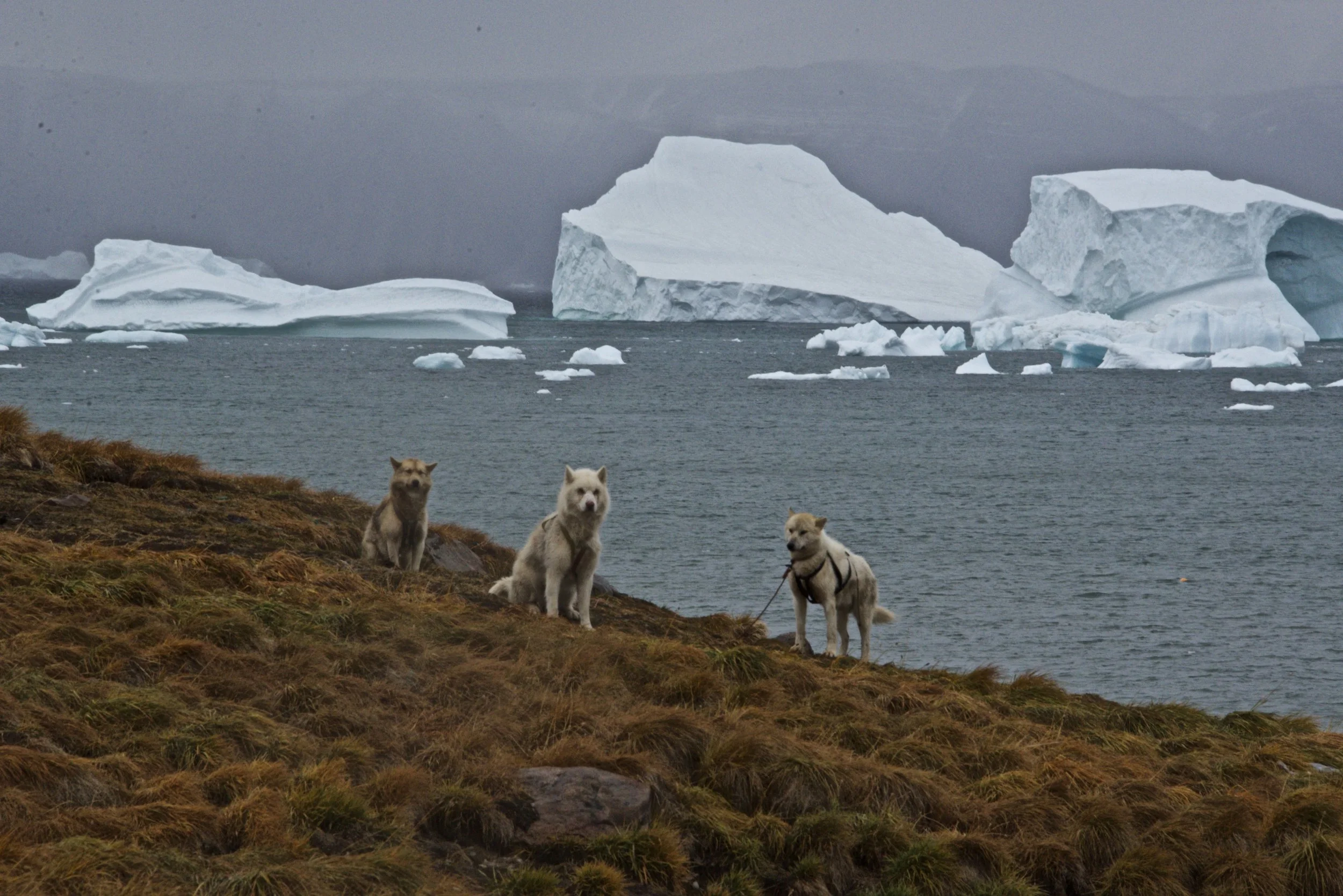 DSC_1763.jpg