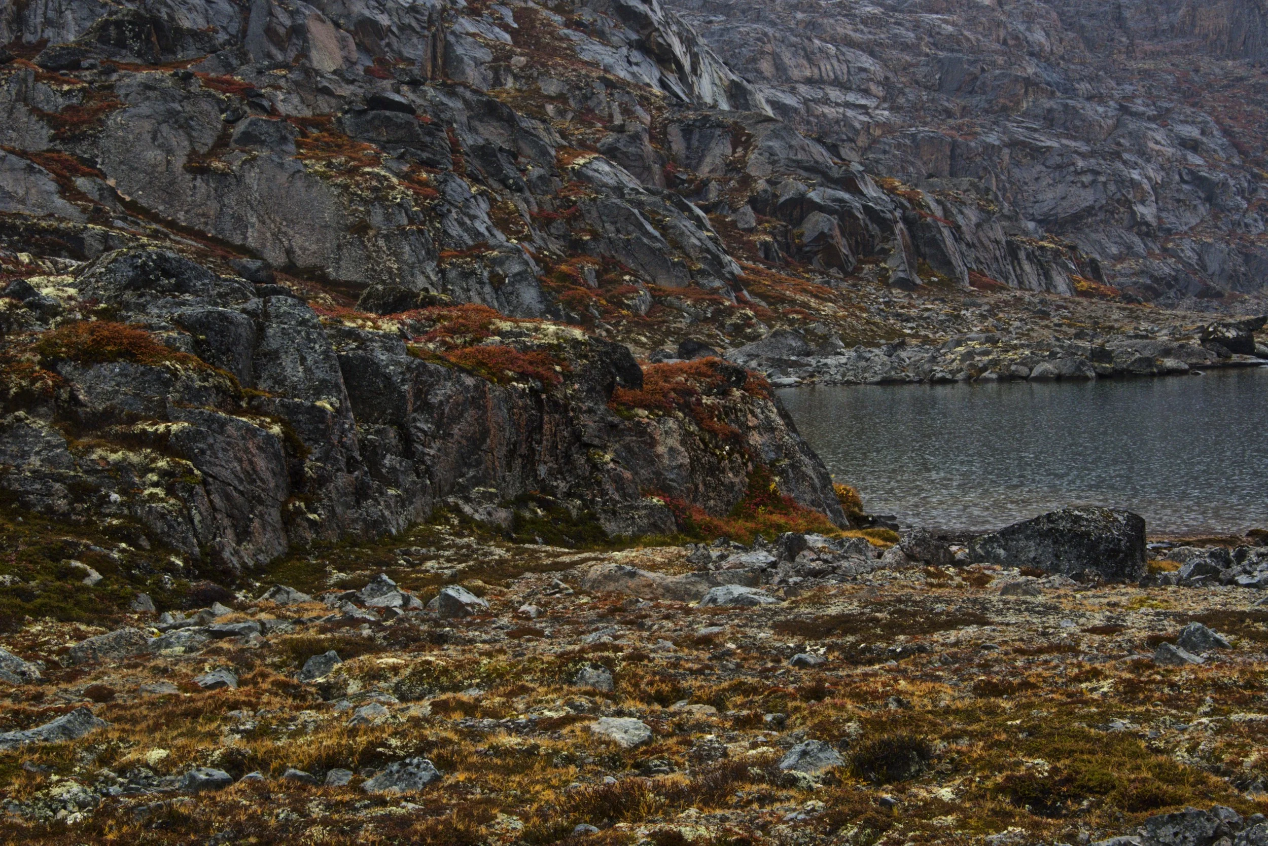 DSC_1994.jpg