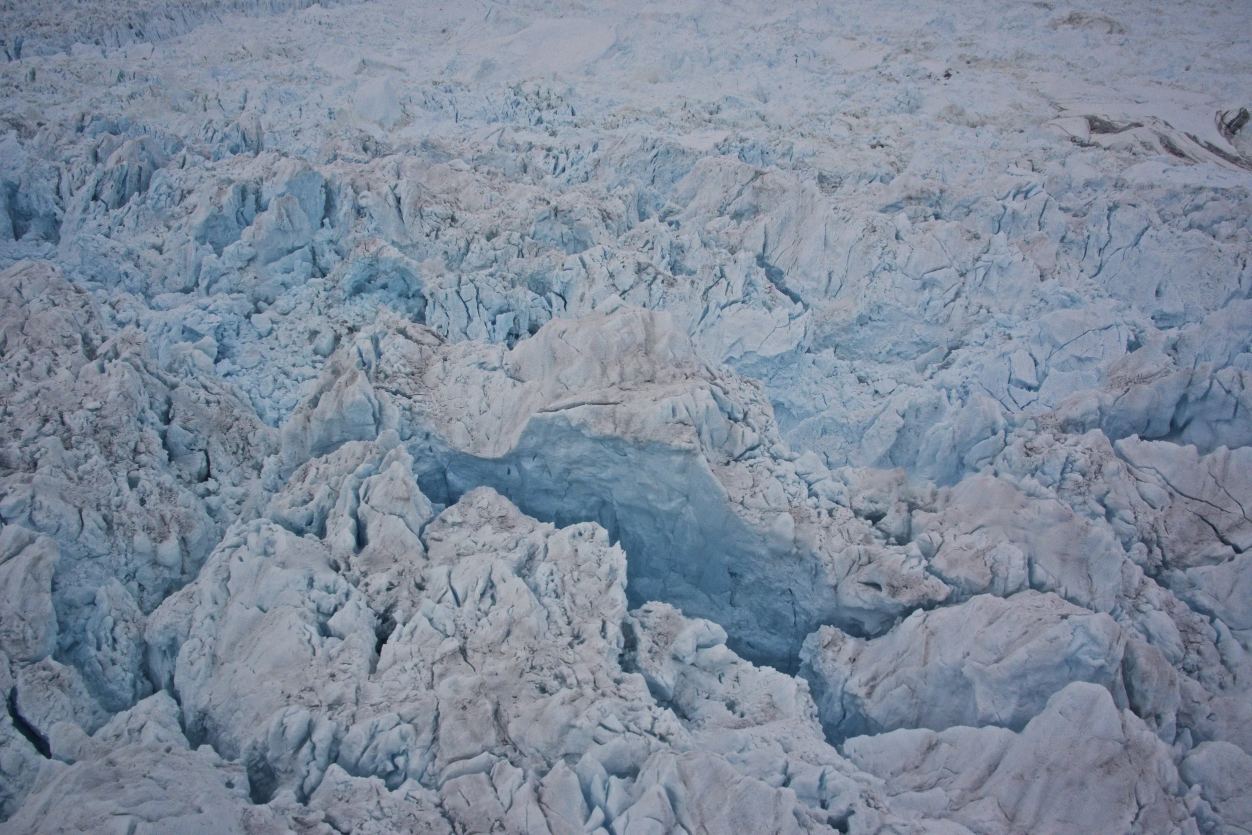 DSC_3650.jpg