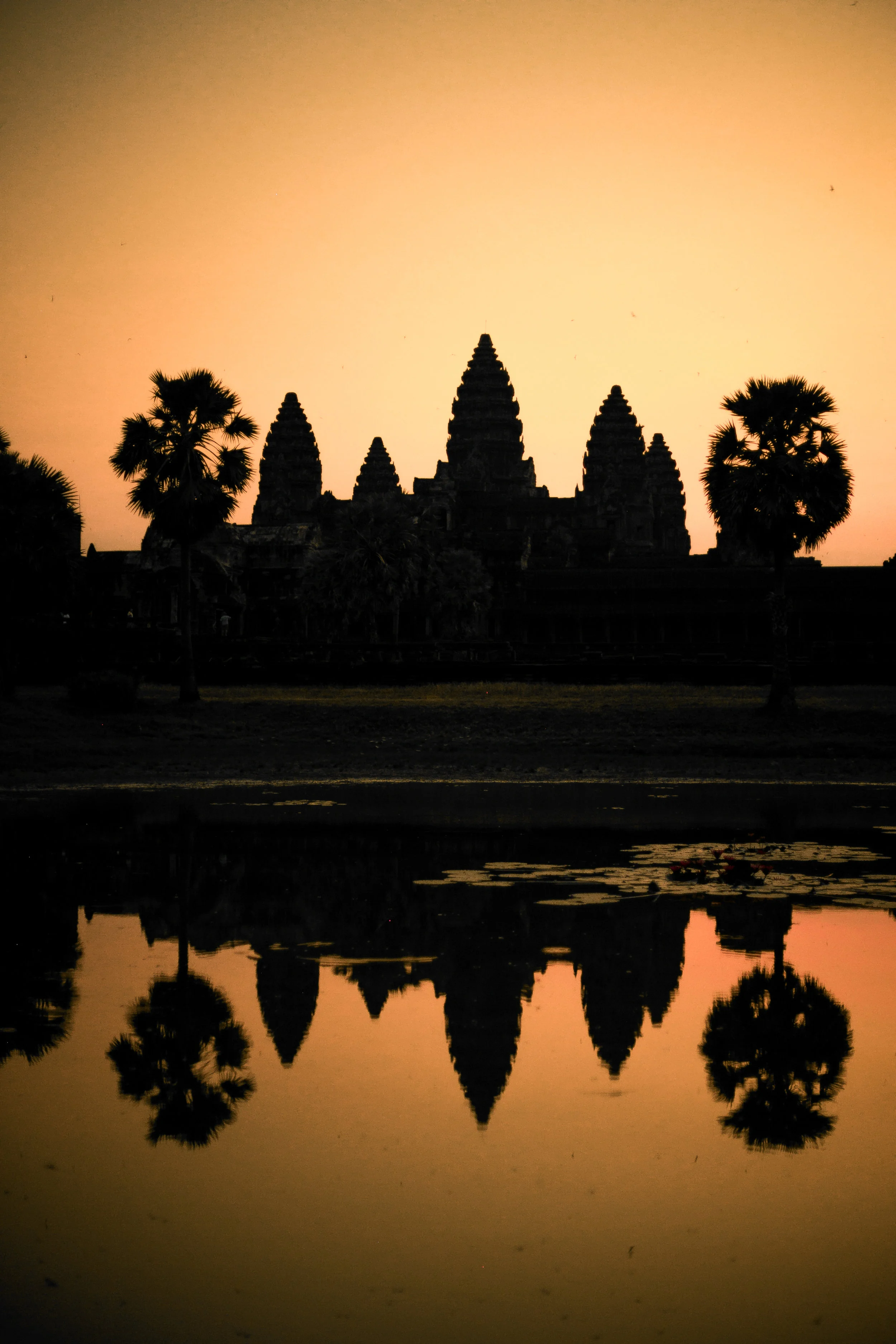 _MG_9679.jpg