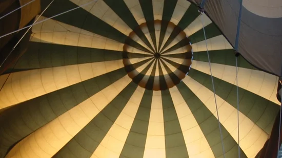Serengeti_ballooning13.jpg.jpg