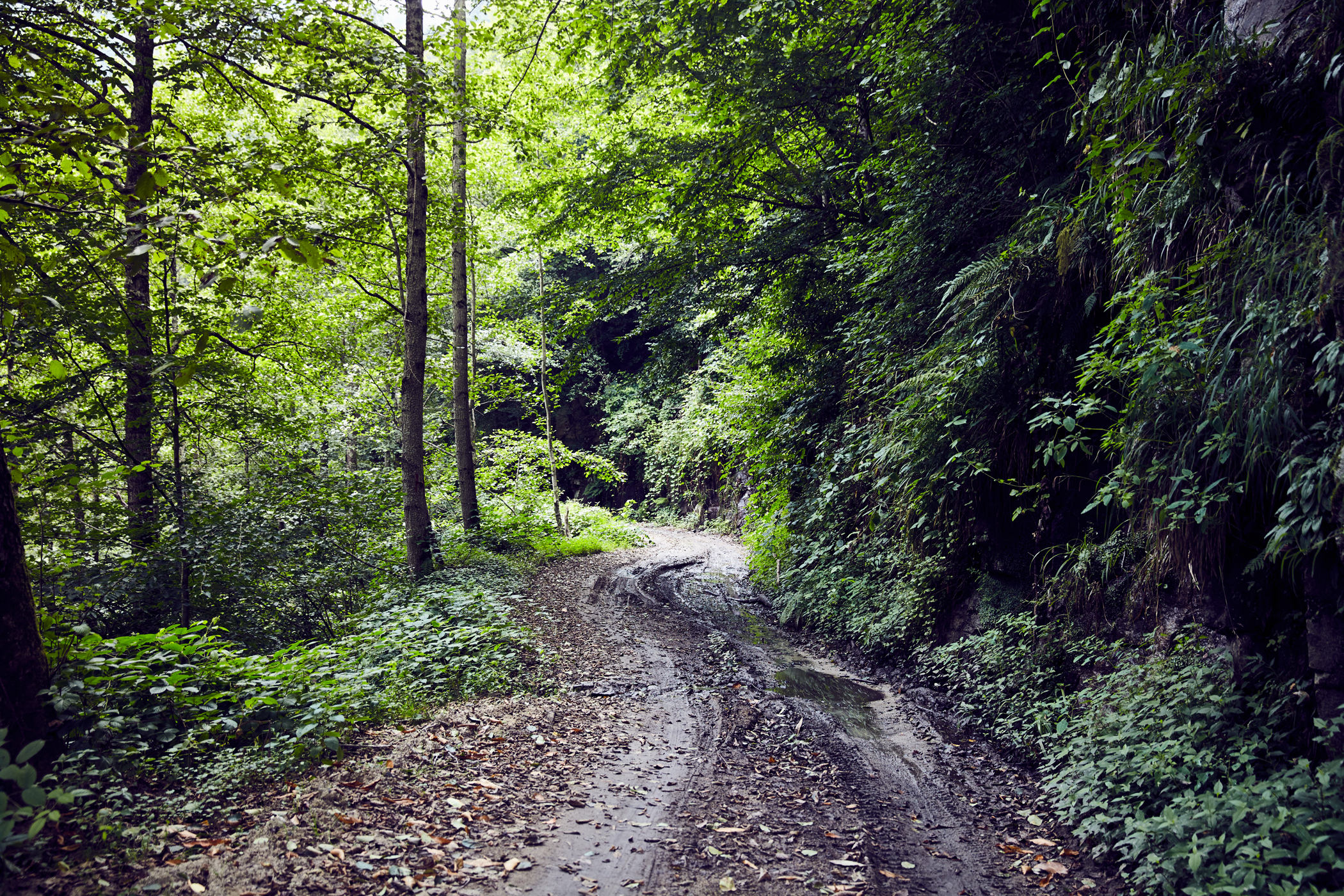 Türkei, Schwarzmeerregion