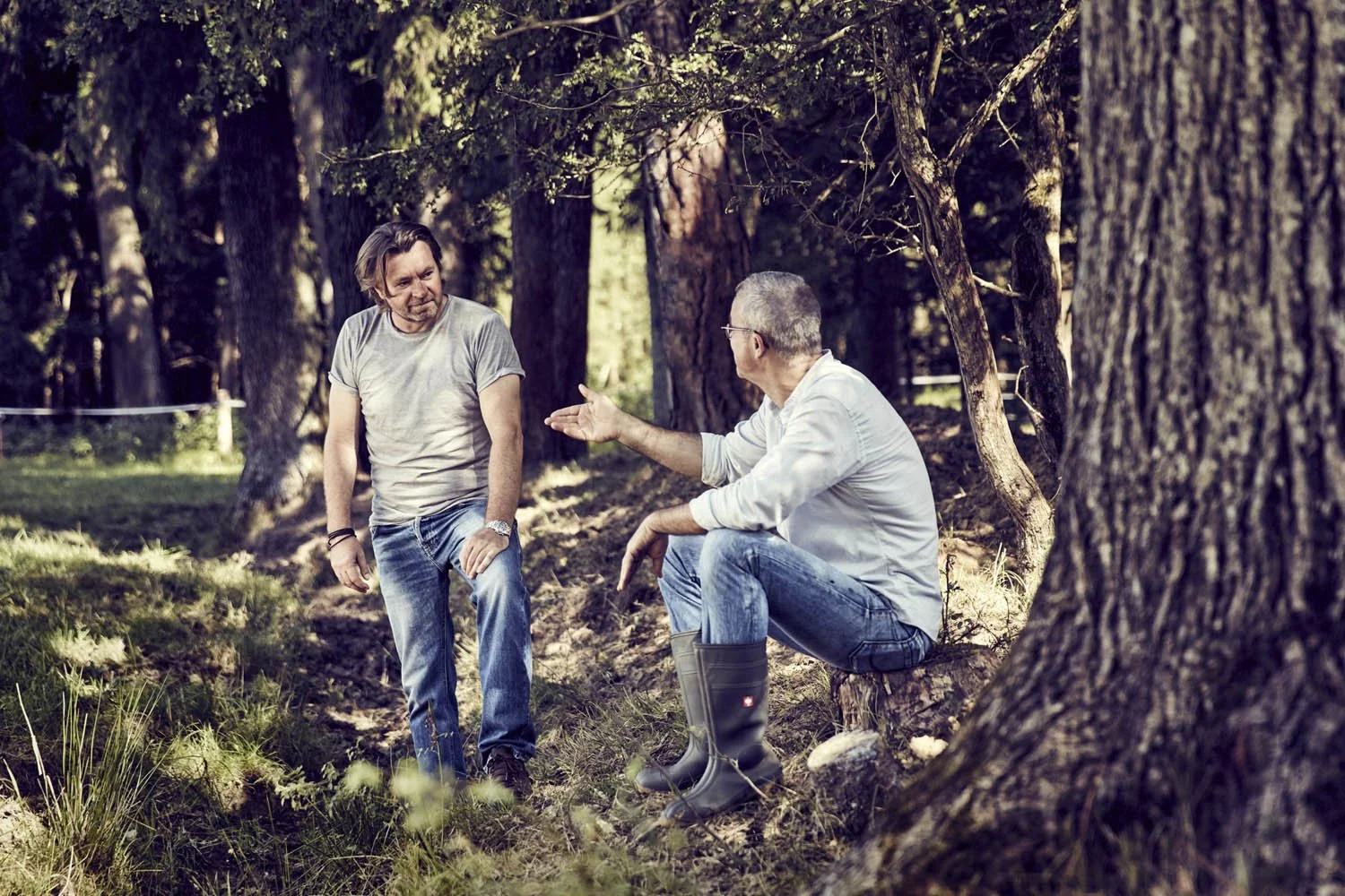 Landwirtschaftlicher Betrieb mit moderner Struktur