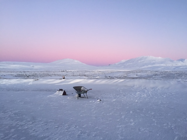 COLD BEAUTY - ICELAND