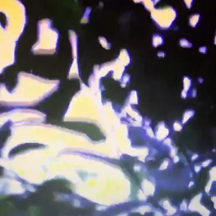 STONE - Bttrflyffct (Prvyedup Rewrk)