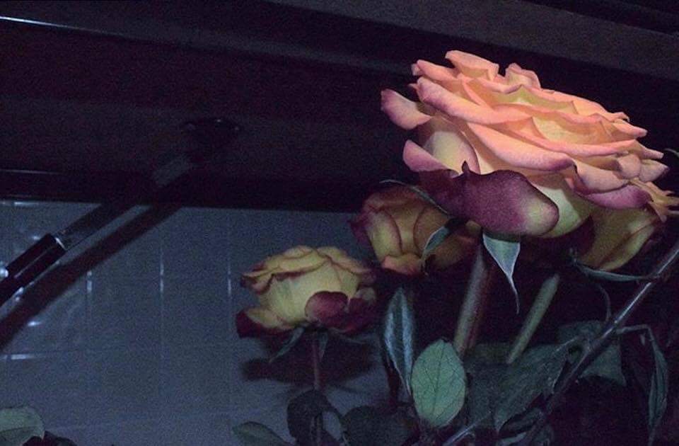 UNOFROMPLUTO - Pleading 