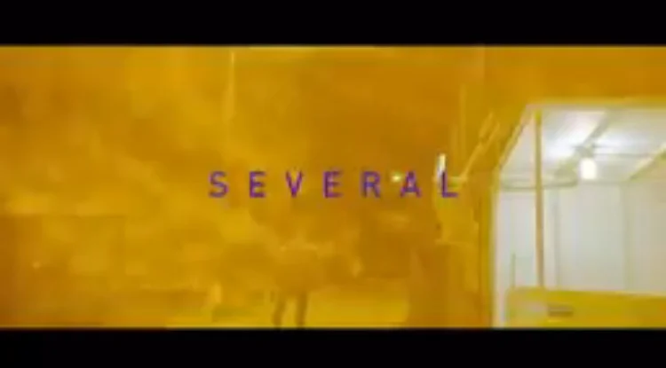 P2 The Goldma$k & Kicc - Several (Video) dir Reel Bump 