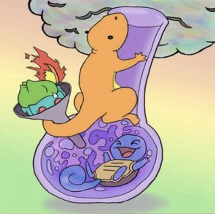 Detox The Kid - PokéDrugs 