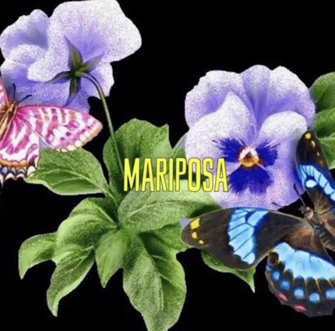 Cosette - Mariposa (EP) 