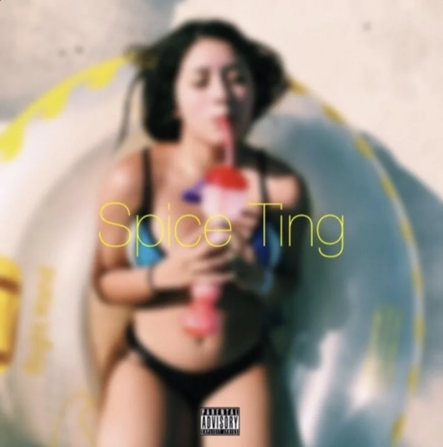 Sanch - Spice Ting 