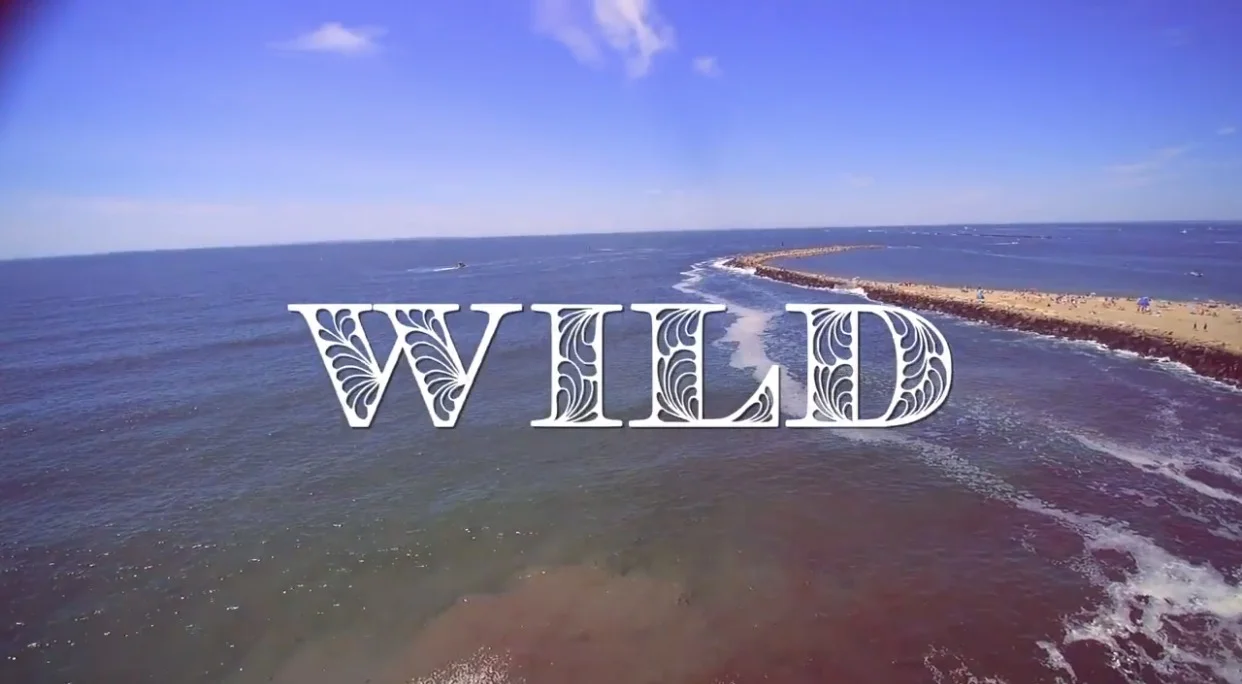 Bry - Wild (Track + Video) prod Mantra