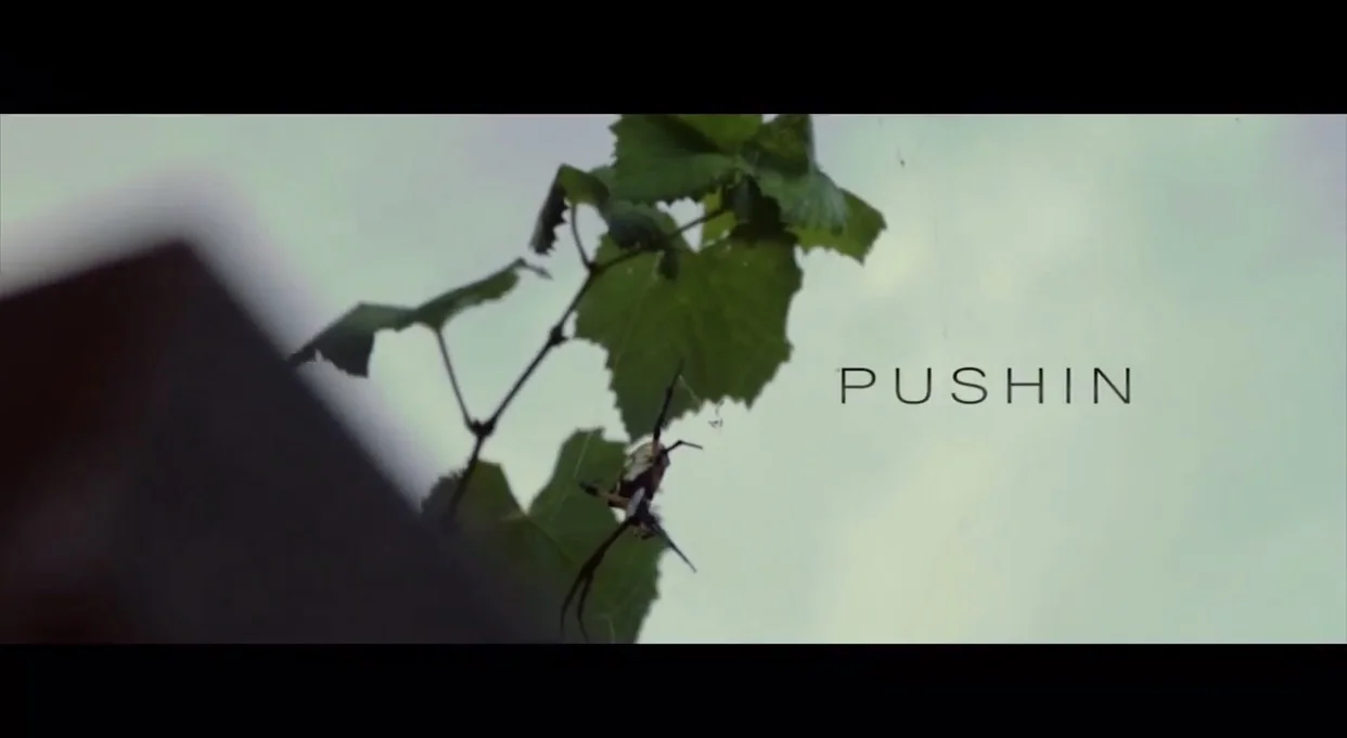 Tico Brahe - Pushin (Video) dir NateeJoel prod Zomala 
