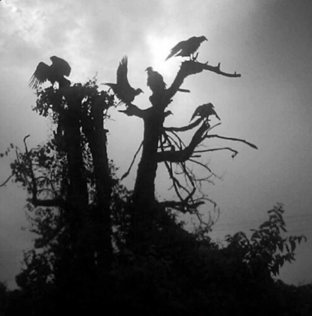 Manuel Ft KITE - The Omen 