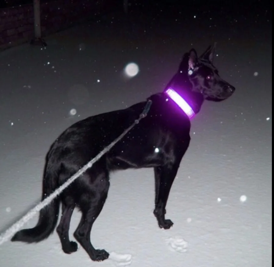 Yung Bambi - White Blood prod HOUNDS 