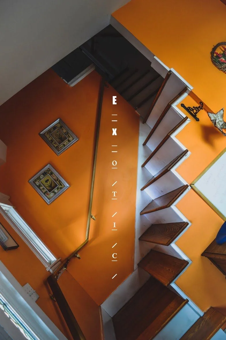 Montopolis - Exotic (EP)