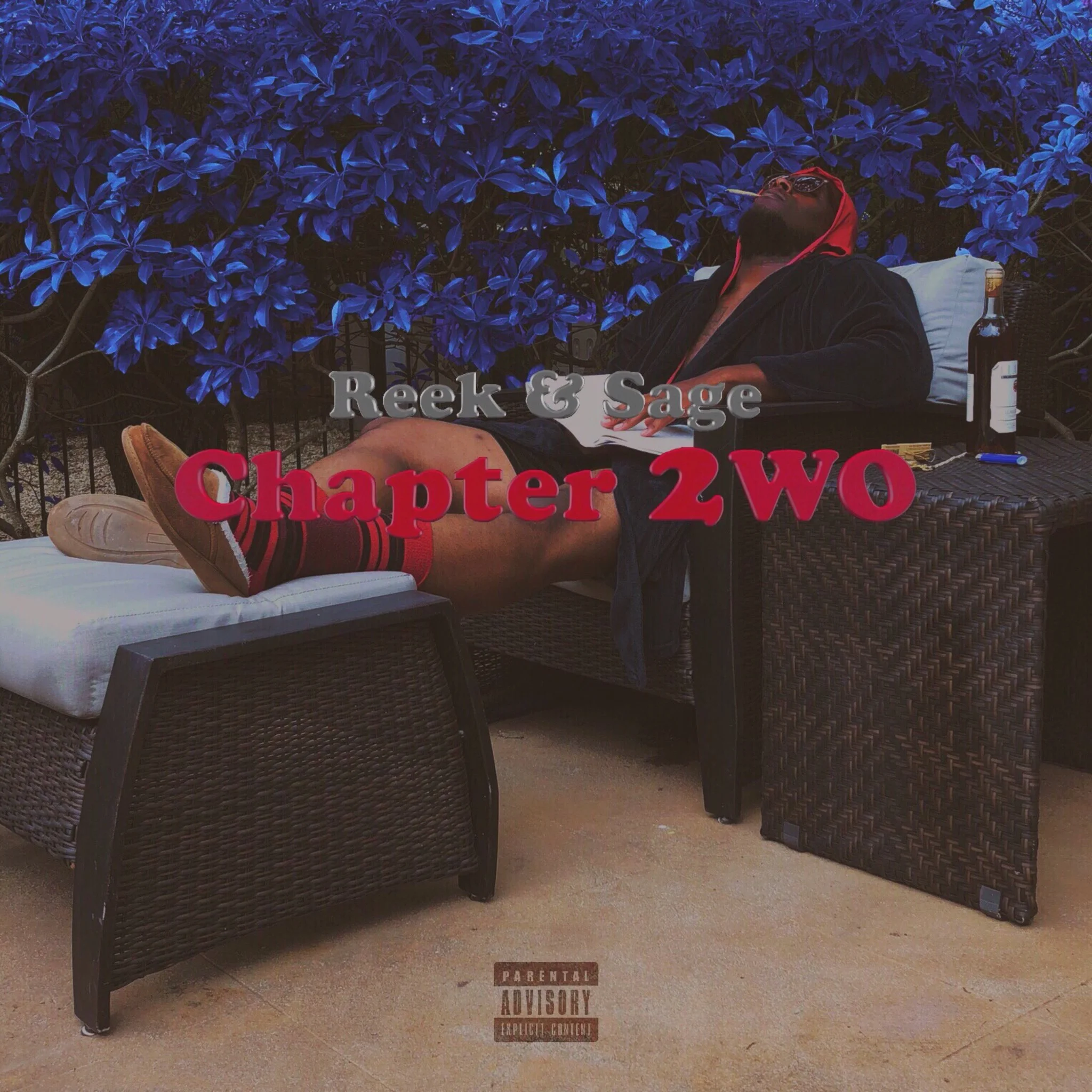 Reek & Sage - Chapter 2Wo (Album)