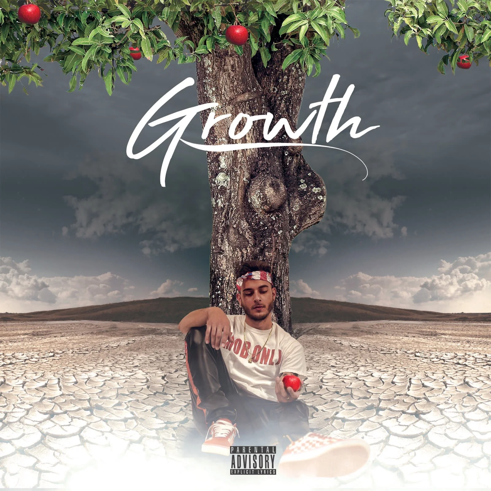 Pauliiito - Growth (Album) 