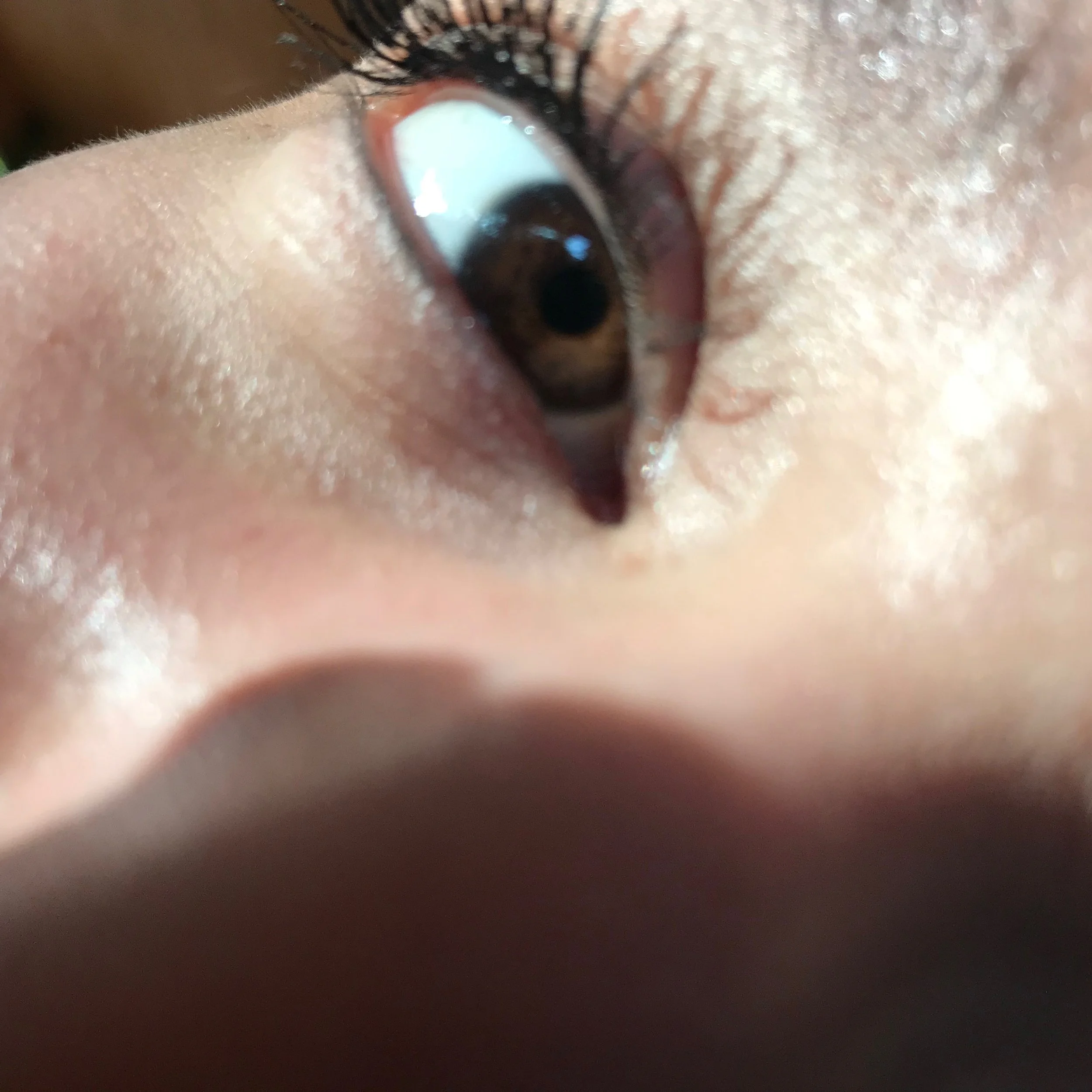 San Lorenzo- Feeling/All Of Me Needs U