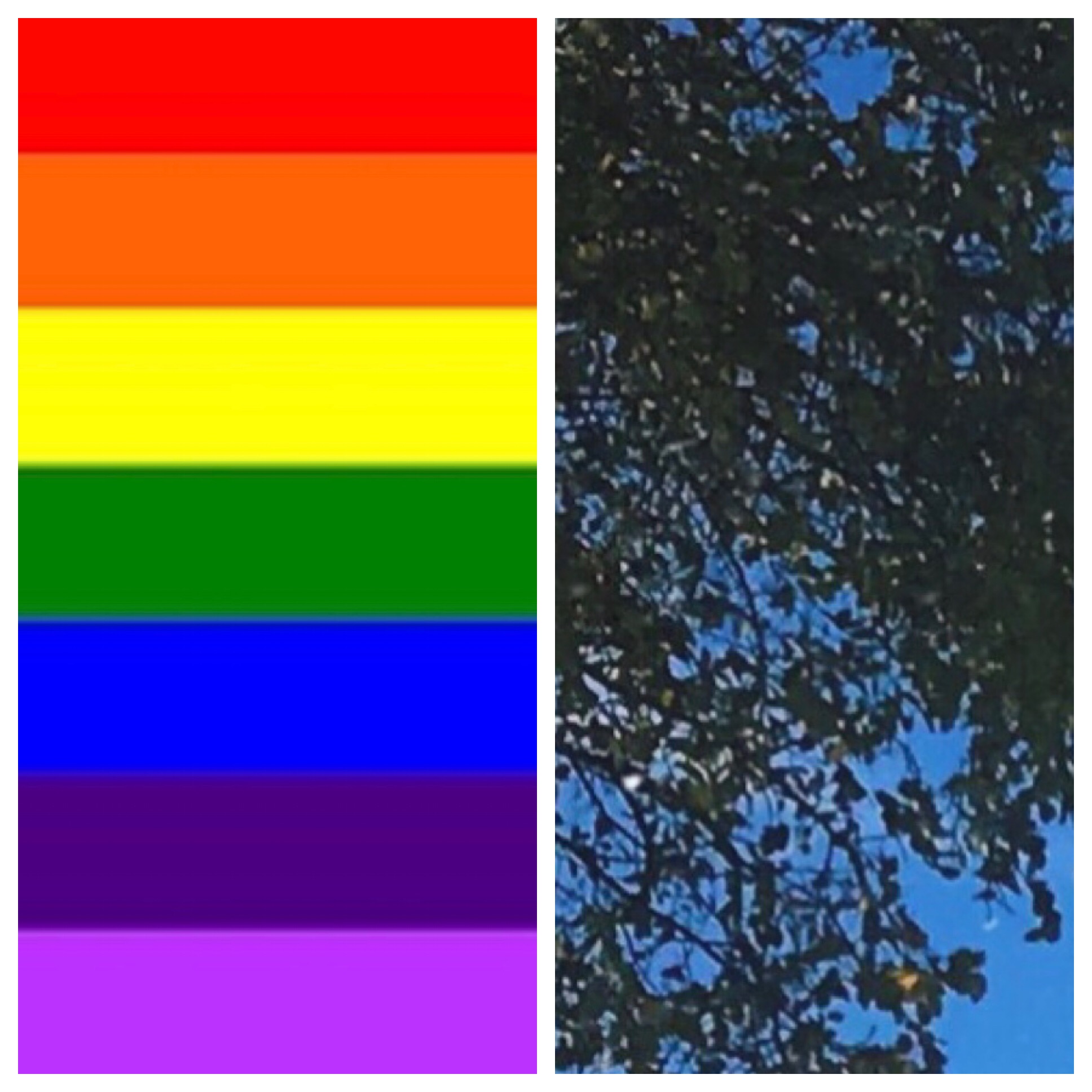 Arizé. - idontcaré. X taken.