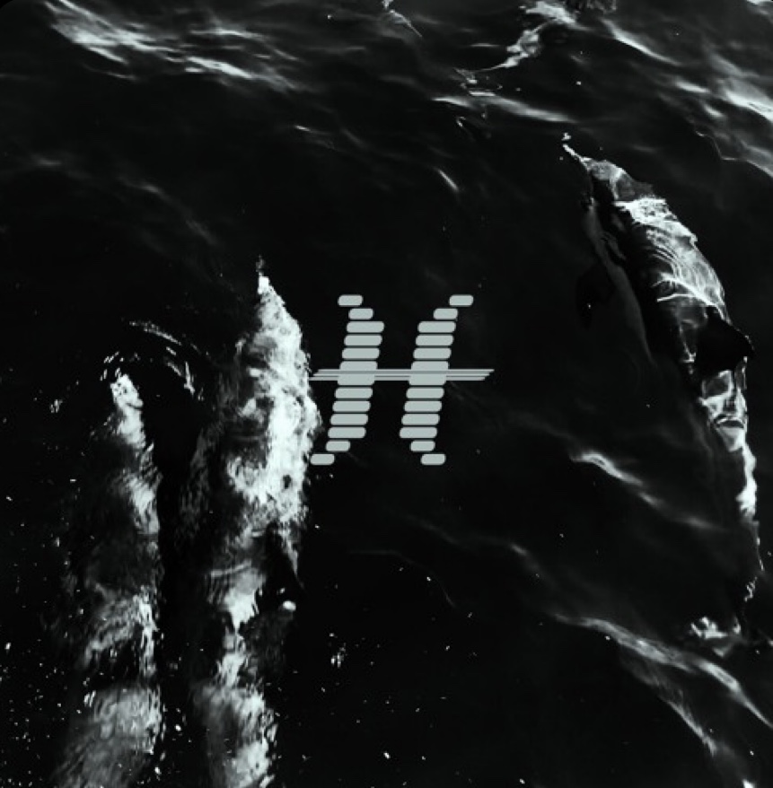 DONT3 - Pisces (EP) 