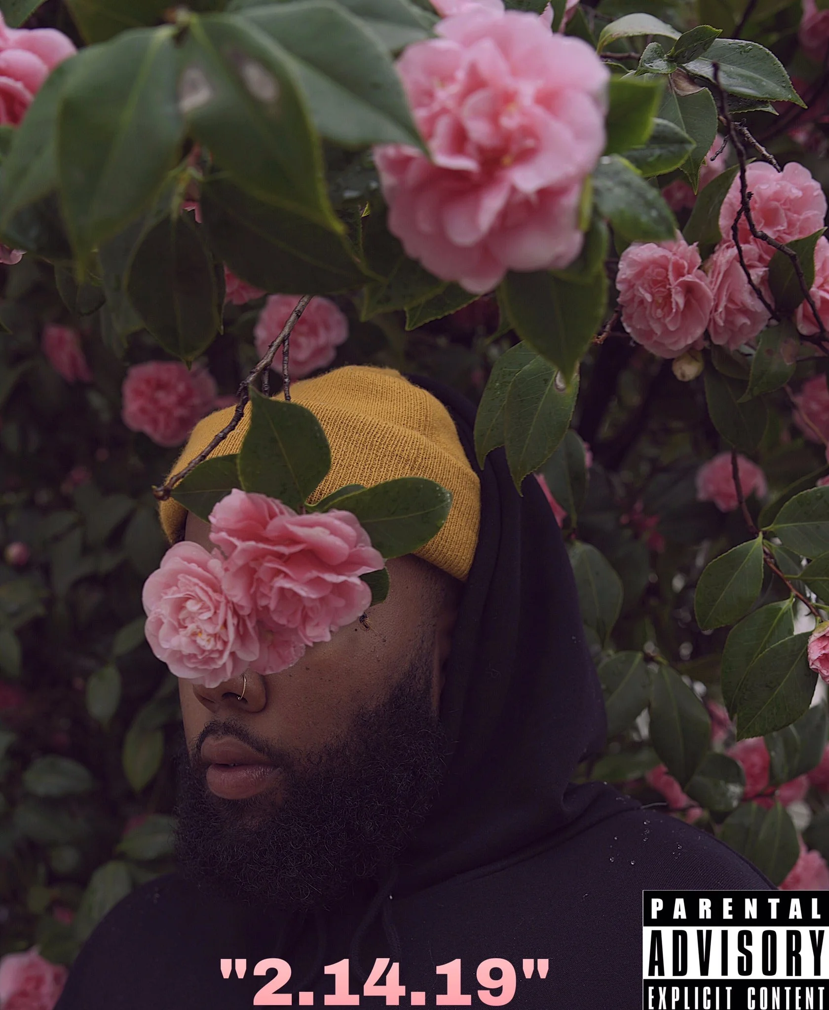 7098 - 2.14.19 (Playlist) 