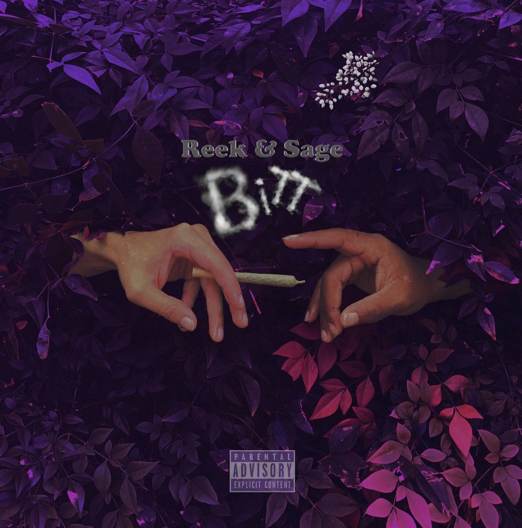 Reek & Sage - Believe In The Tree (Album) 