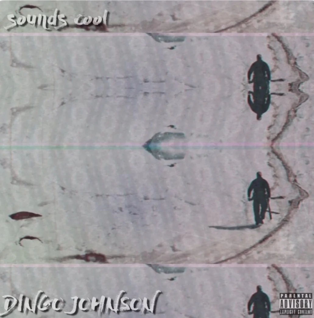 Dingo Johnson - Sounds Cool