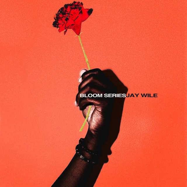 Jay Wile - Bloom Series (Album)