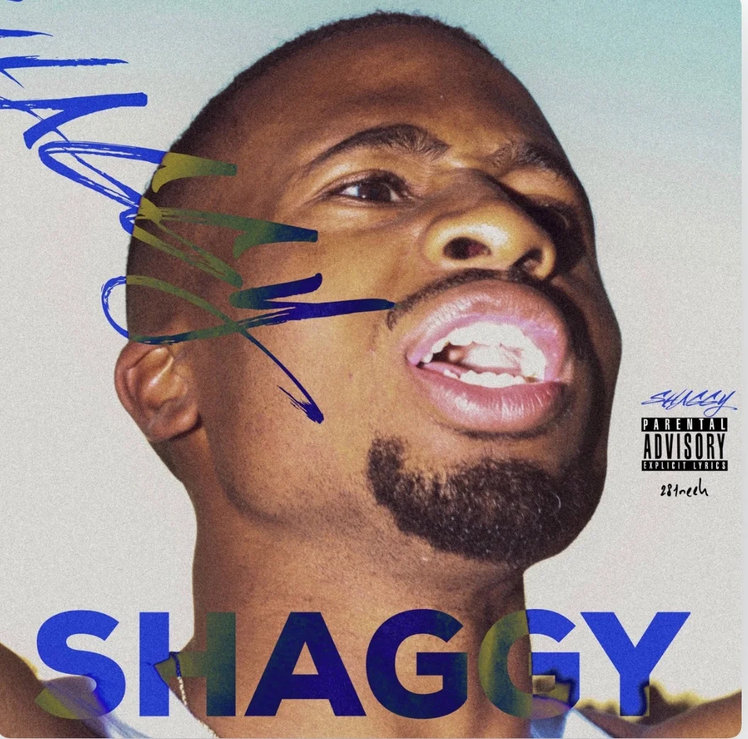 281neek - Shaggy (EP)