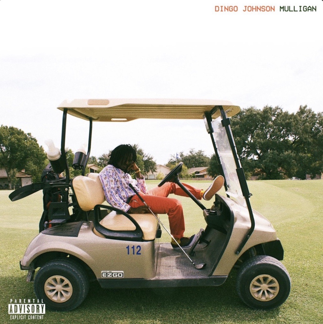 Dingo Johnson - Mulligan (Album) 