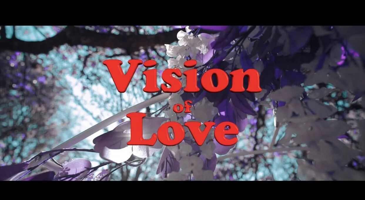 Reek &amp; Sage (feat. Big Beautiful Williams &amp; Levicantsing) - Vision of Love (Video) Dir By DavieeDavee