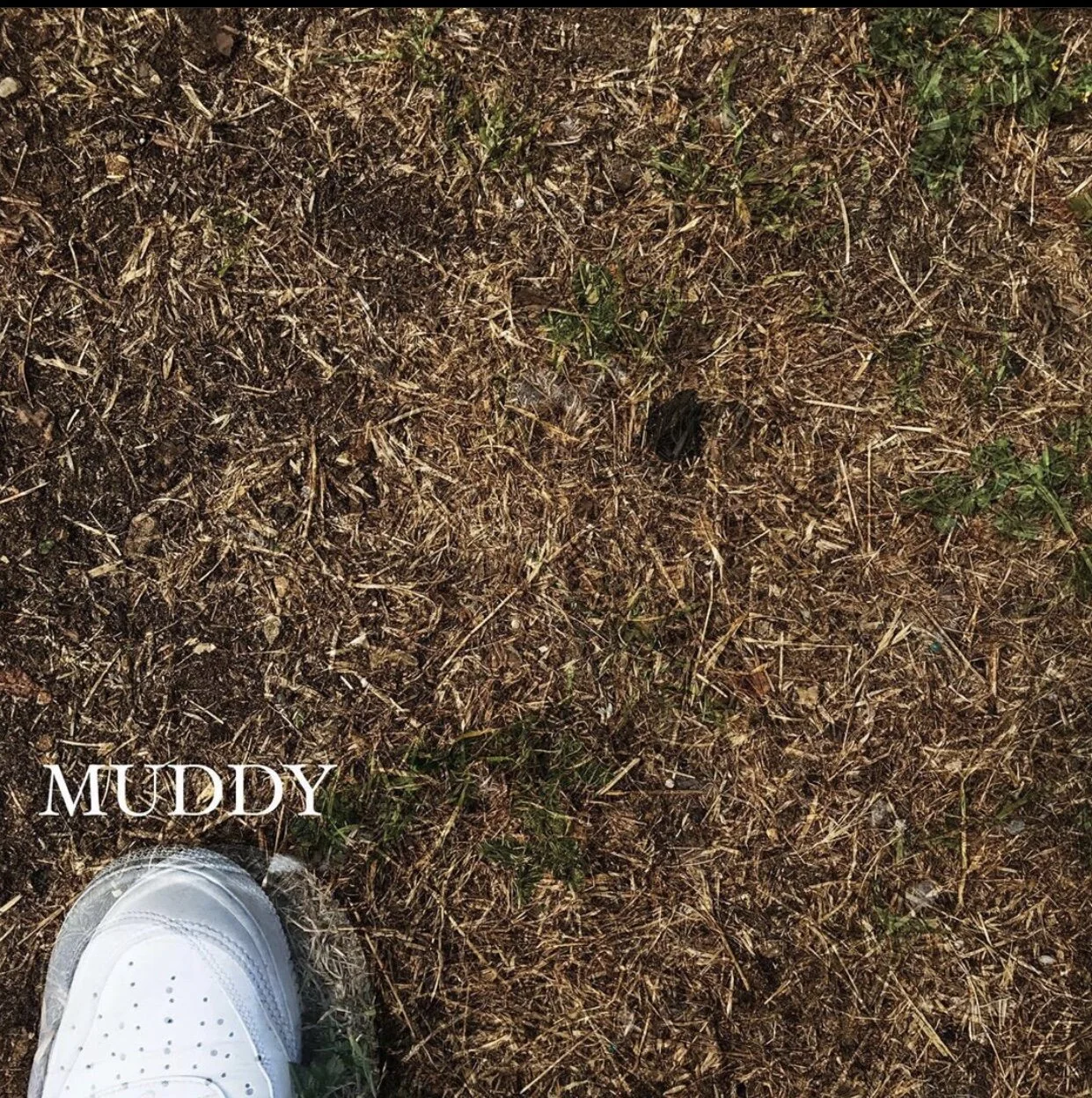 Cousin Cush - Muddy (EP)