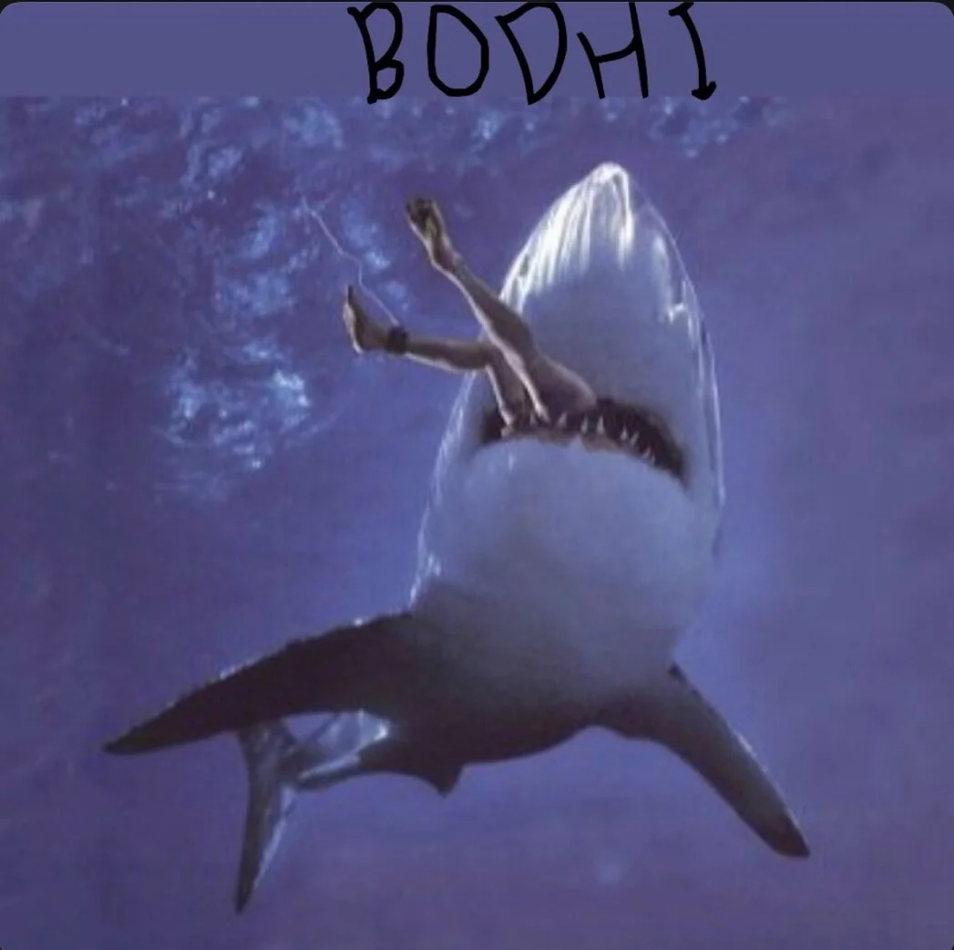 80sblond - Bodhi (EP)