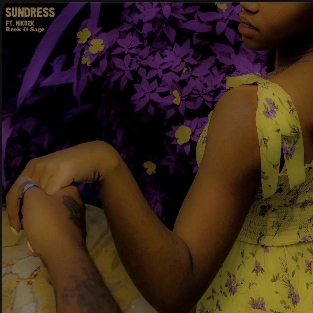 Reek & Sage feat. Niko2k - Sundress (Single)