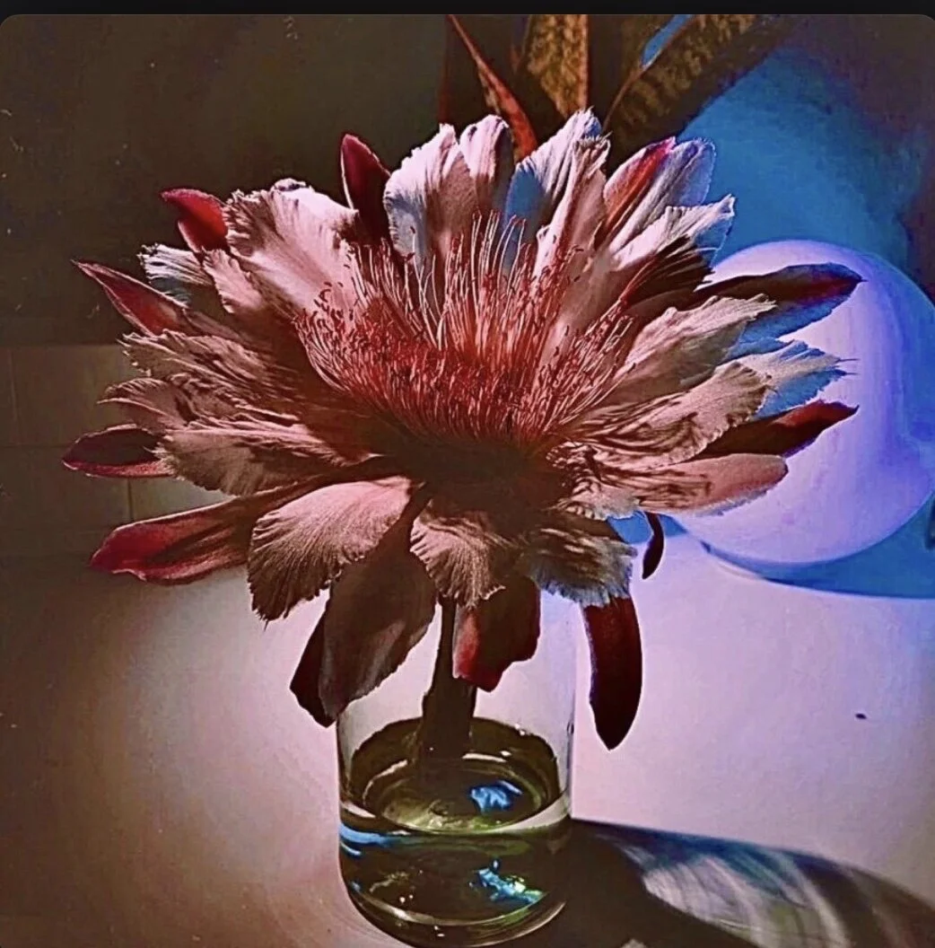 Opaque Ghost - Hues (Album)