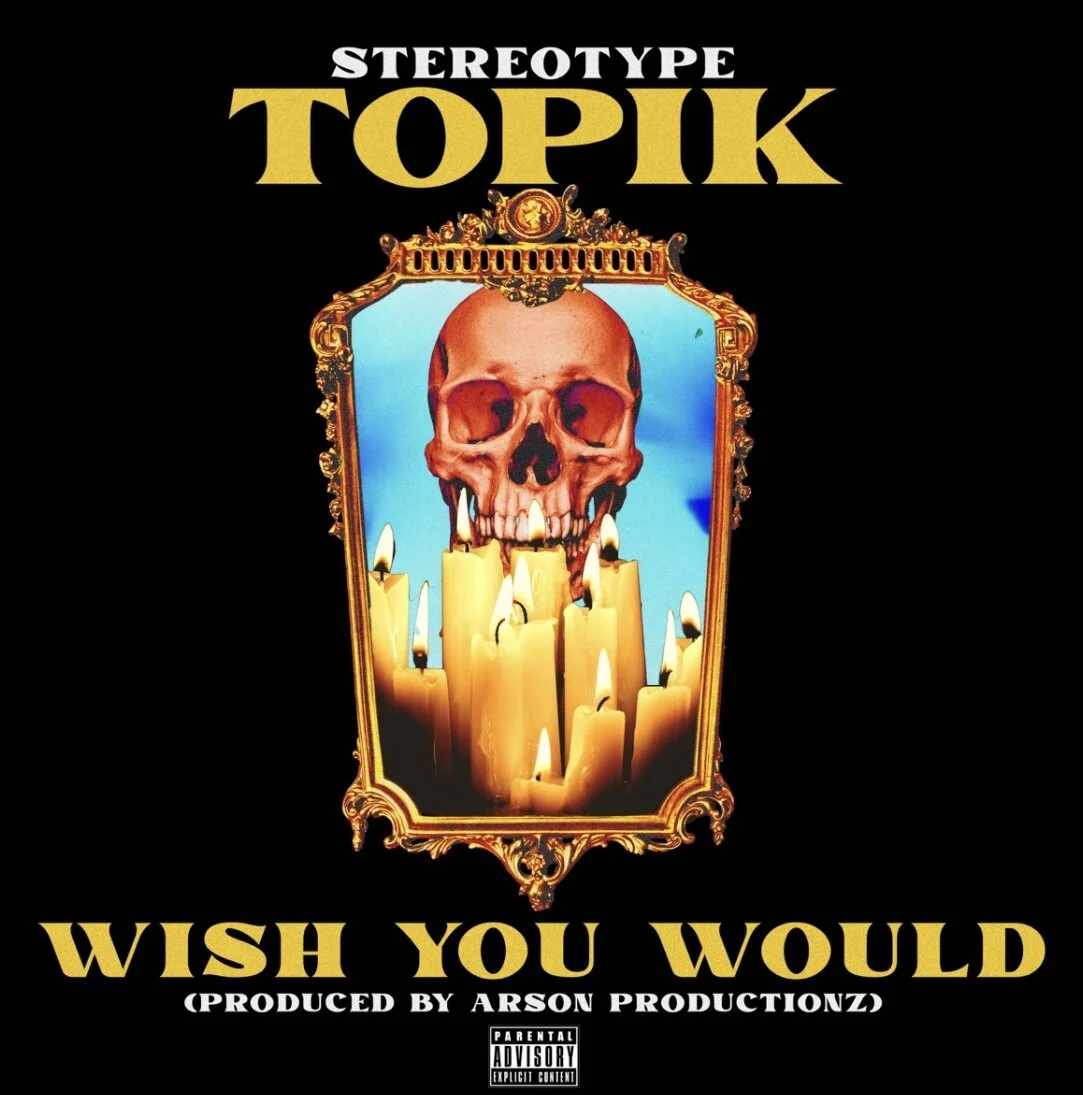 StereoType Topik - Wish You Would (Single)